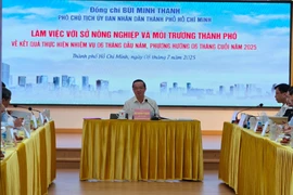 Phó Chủ tịch TP HCM yêu cầu sớm chốt bảng giá đất mới