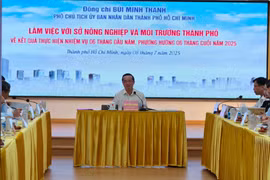 Phó Chủ tịch TP HCM yêu cầu sớm chốt bảng giá đất mới