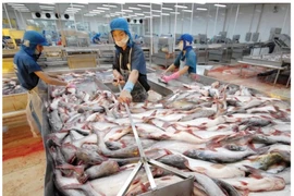 'Vua cá tra' từng làm ăn ra sao trước khi rời sàn chứng khoán?