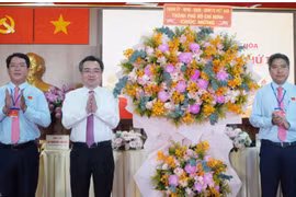 Phường Bình Hưng Hòa đẩy mạnh kinh tế gắn với hạ tầng và đô thị hóa bền vững