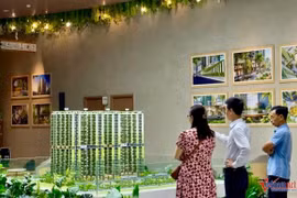 TPHCM cấm chủ đầu tư ủy quyền thu tiền đặt cọc, ký hợp đồng mua bán dự án