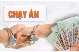 Cựu chủ tịch HĐQT Công ty K-Homes đưa hối lộ tiền tỷ để giải quyết tranh chấp