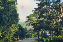 Quảng Ngãi: Hai gói sửa chữa đường hơn 15 tỷ tiết kiệm vỏn vẹn 6 triệu đồng