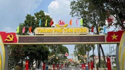 Ai sẽ thi công gói thầu xây dựng hoa viên phường Thái Hòa?