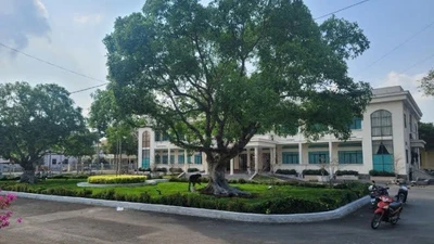 Đấu thầu tại Long Mỹ 1: Công ty Năm Bạn vượt qua "ông lớn" thế nào?