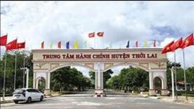 Gói thầu đường tỉnh 919 tại Cần Thơ: Cuộc cạnh tranh của những nhà thầu quen mặt và ẩn số từ giá dự thầu