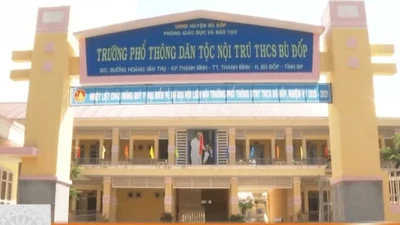 Tỷ lệ trúng thầu 95,7%, Công ty Quang Đạt và dấu hỏi về tính cạnh tranh tại các gói thầu quen thuộc 
