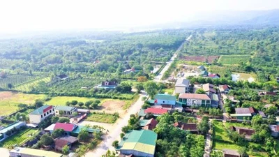 Trường Lương Thế Vinh mời thầu gói xây dựng, thiết bị hơn 77 tỷ