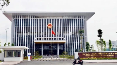 Gói thầu 18 tỷ tại Cà Mau: Cuộc đua "ngũ mã" và những câu hỏi về năng lực.