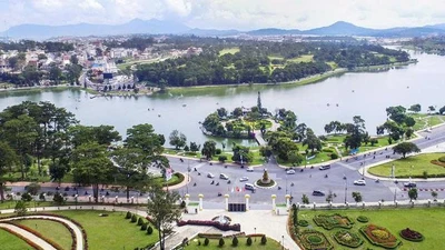 Công ty Đô thị Đà Lạt: Thắng thầu nghẹt thở, "bộ sưu tập" gói thầu tiết kiệm 0,22%
