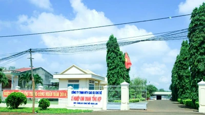 Gói thầu KCN Nam Pleiku Trường Phát Lợi có lật ngược thế cờ