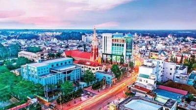 Đồng Nai: Tìm nhà thầu thi công Nâng cấp đường Duy Tân