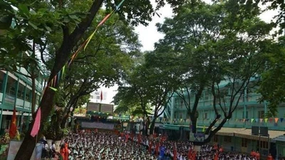 TP HCM: Mời thầu dự án sửa chữa Trường THCS Hà Huy Tập