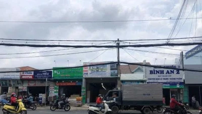 Công ty Nghĩa Phát trúng thầu tại Thủ Đức: Lật lại dữ liệu và những gói thầu có tỷ lệ tiết kiệm thấp