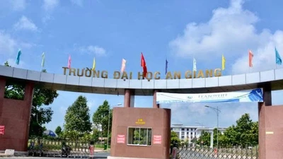 An Giang: Vì sao "tân binh" Bất động sản 007 trúng thầu hơn 11 tỷ đồng?