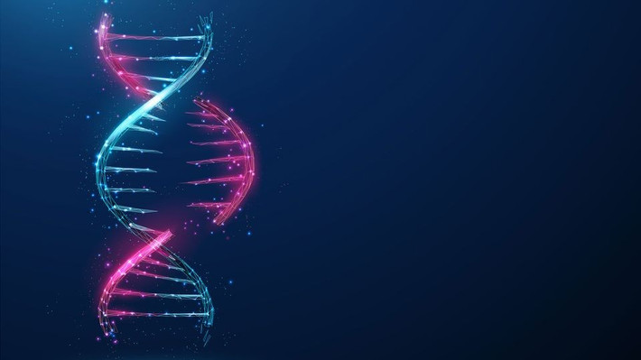Việc sử dụng CRISPR lên nhện nhà từng được coi là bất khả thi vì gene phức tạp và đặc tính ăn thịt đồng loại của chúng.(Ảnh: Technology Networks)