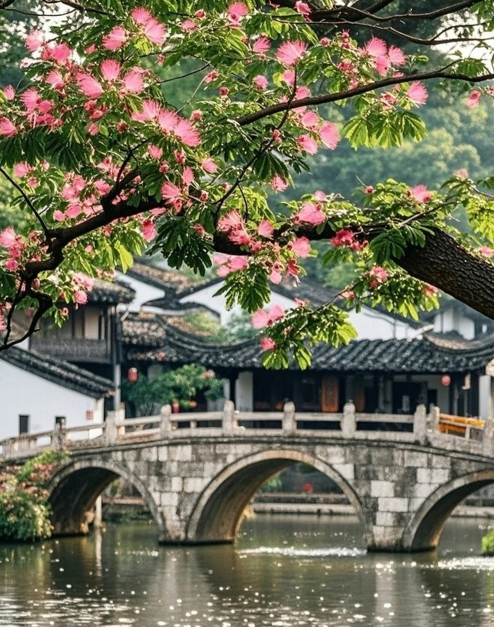 Đặc biệt, hương hoa hợp hoan rất thơm. Sau khi nở sẽ tỏa mùi thơm như nước hoa, tươi mát, dễ chịu khiến mọi người đều muốn được ướp mình trong hương thơm của nó.
