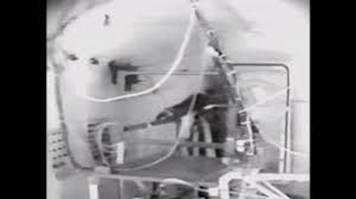 Một vài người sống sót, như kỹ thuật viên Jim LeBlanc của NASA, đều chỉ tiếp xúc trong vài giây và được cấp cứu tức thì.