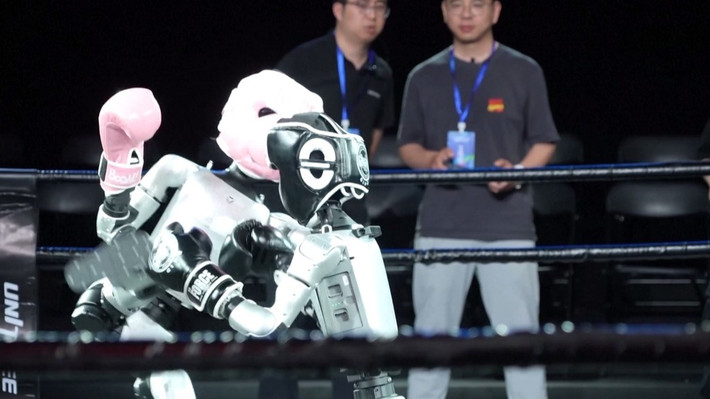 Unitree dùng AI và cảm biến thời gian thực để robot đứng vững khi chiến đấu.(Ảnh: China Plus South Africa)