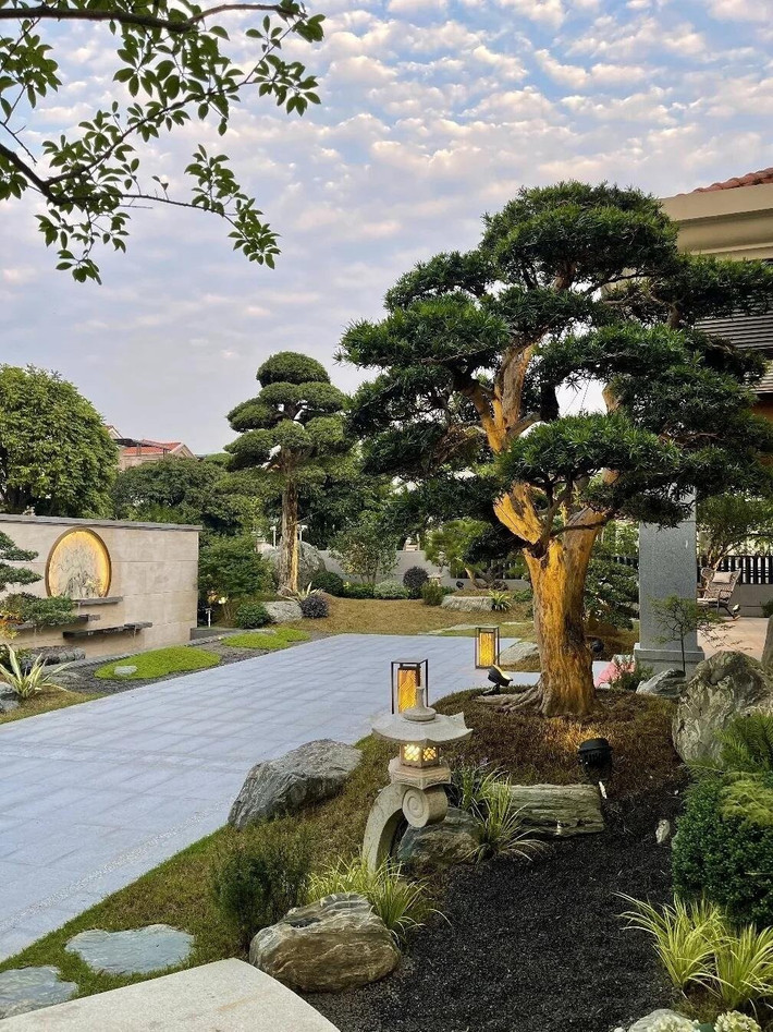 Với bộ cành rậm rạp, lá xanh quanh năm và dáng dấp uy nghiêm, tùng La Hán dễ tạo hình bonsai hoặc trồng sân vườn. Cây mang lại vượng khí, trấn trạch và xua đuổi những điều xấu xa, tà khí.