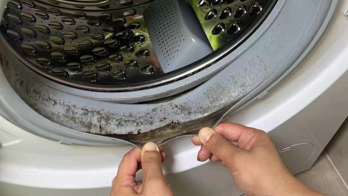 Không vệ sinh định kỳ biến máy giặt thành ổ nấm mốc và vi khuẩn.