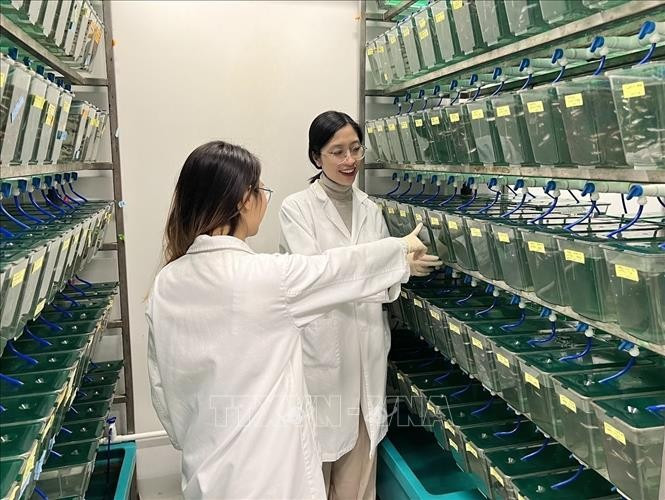 Trung Quốc tận dụng cơ hội này bằng các ưu đãi khủng như hỗ trợ tài chính và học bổng nghiên cứu.