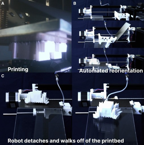 Nhóm nghiên cứu tin rằng robot in 3D không lắp ráp sẽ sớm được ứng dụng vào thám hiểm, y học và cứu hộ khẩn cấp.(Ảnh:ScienceDirect.com)