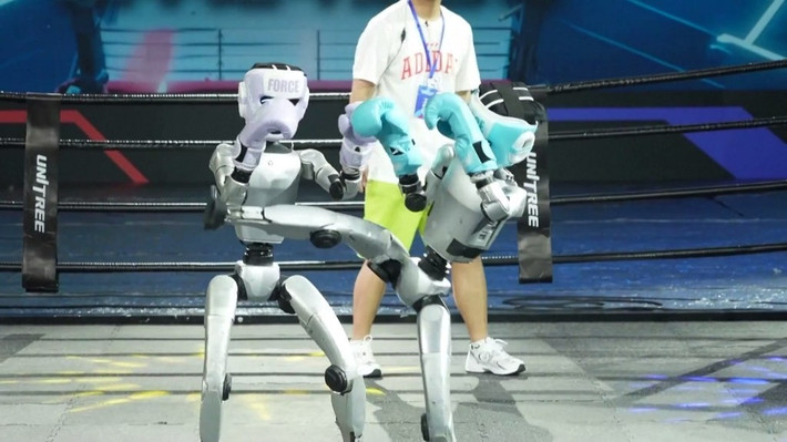 Thiết kế cánh tay và khớp gối của G1 cho phép robot ra đòn linh hoạt như con người.(Ảnh: China Plus South Africa)