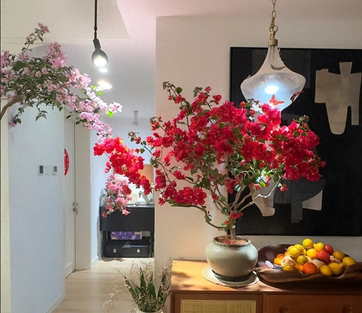 Hoa giấy đỏ đại diện cho sức mạnh và khát vọng. Hồng – dịu dàng, tím – thủy chung, trắng – tinh khiết... Tùy gu thẩm mỹ mà chọn màu mang ý nghĩa riêng.