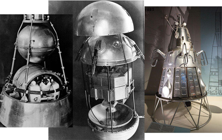 Sputnik 5 đánh dấu bước ngoặt lịch sử khi lần đầu tiên sinh vật sống được đưa ra ngoài không gian và trở về an toàn.