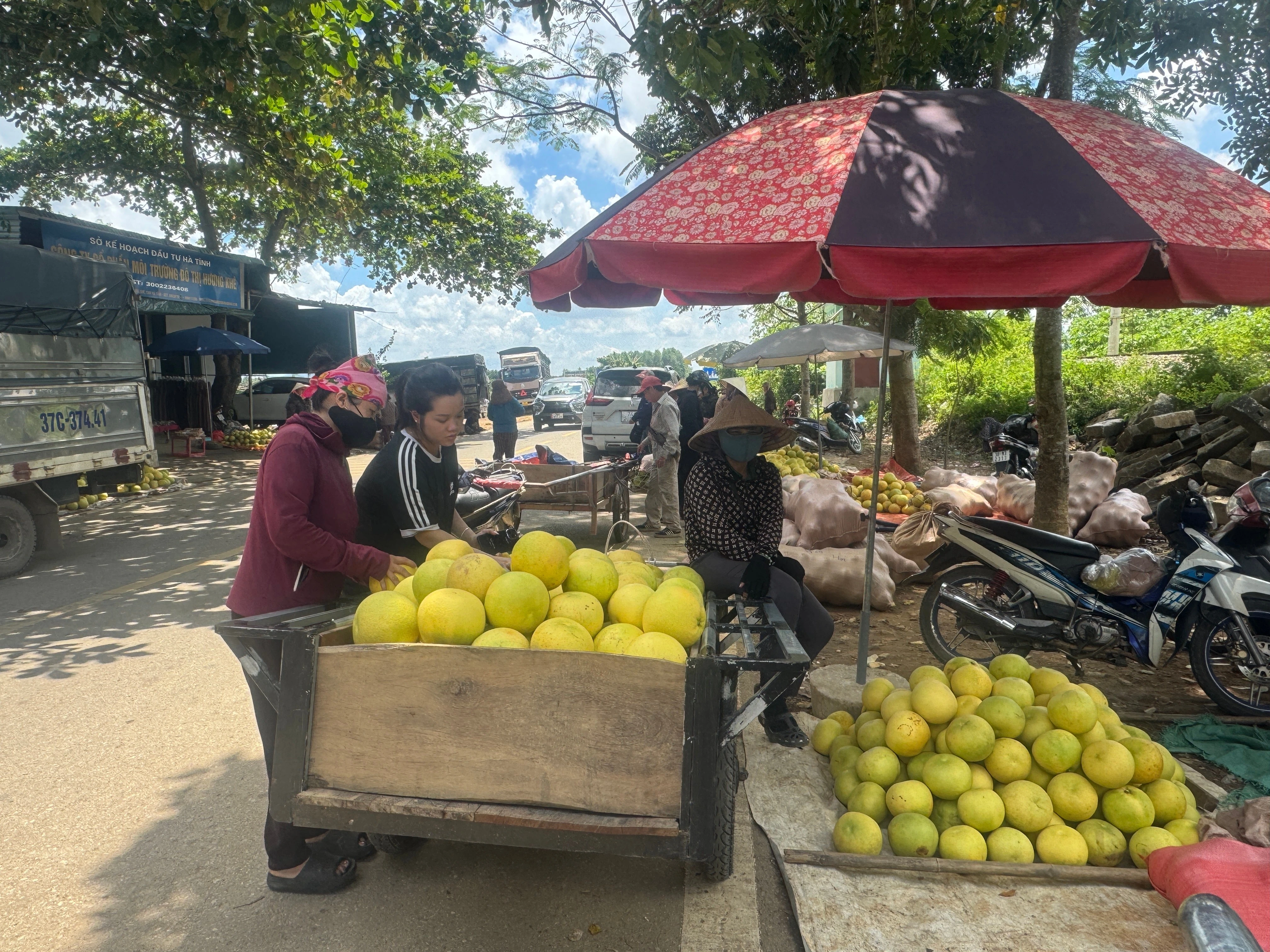 Nhộn nhịp khu chợ ở Hà Tĩnh chỉ bán "đệ nhất danh quả"