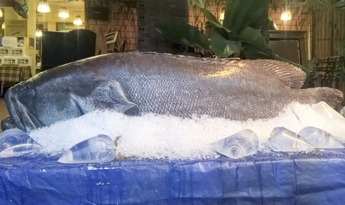 Cá mú biển 70kg cùng loạt quái ngư khủng sa lưới ngư dân Việt