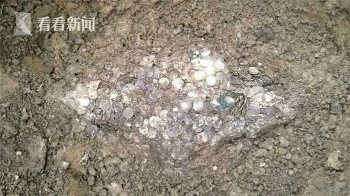 Đào được 'kho báu' khổng lồ, thanh niên lập tức đổi đời