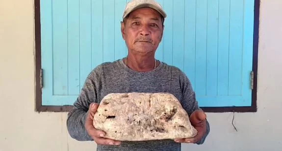 Đưa cháu đi bơi ở biển, bất ngờ đụng trúng “báu vật” tiền tỷ