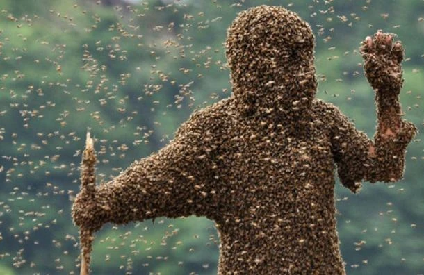 "Bộ ba vũ khí côn trùng” ghê gớm nhất từng xuất hiện trong lịch sử