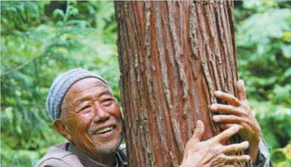 Nhặt được khúc gỗ lạ, lão nông được khuyên: “Báo cảnh sát ngay!”