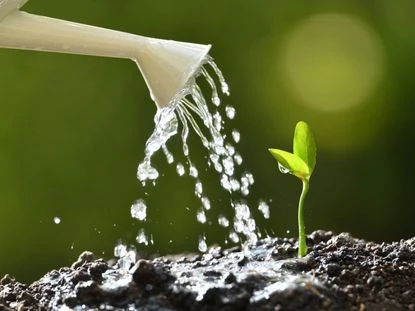 Lần đầu tiên vòng tuần hoàn nước trên Trái đất bị mất cân bằng