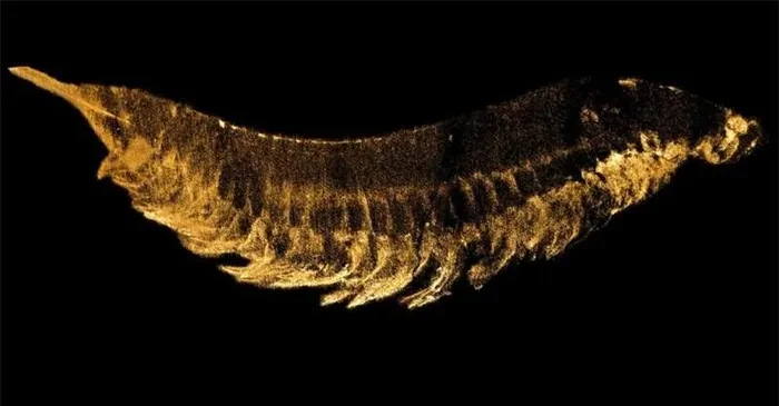 Phát hiện "quái thú" 520 triệu tuổi 3 mắt 10 chân: Chấn động lịch sử! 