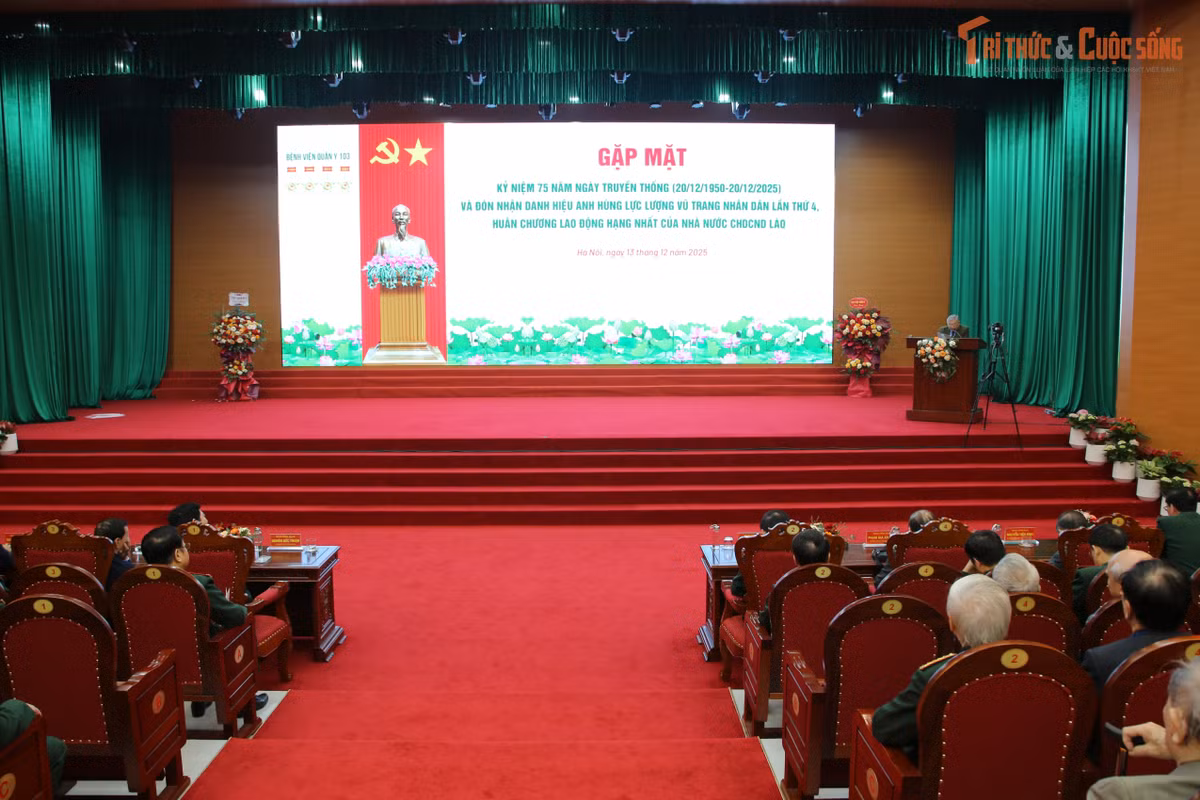 kto-tr_img-6845.jpg