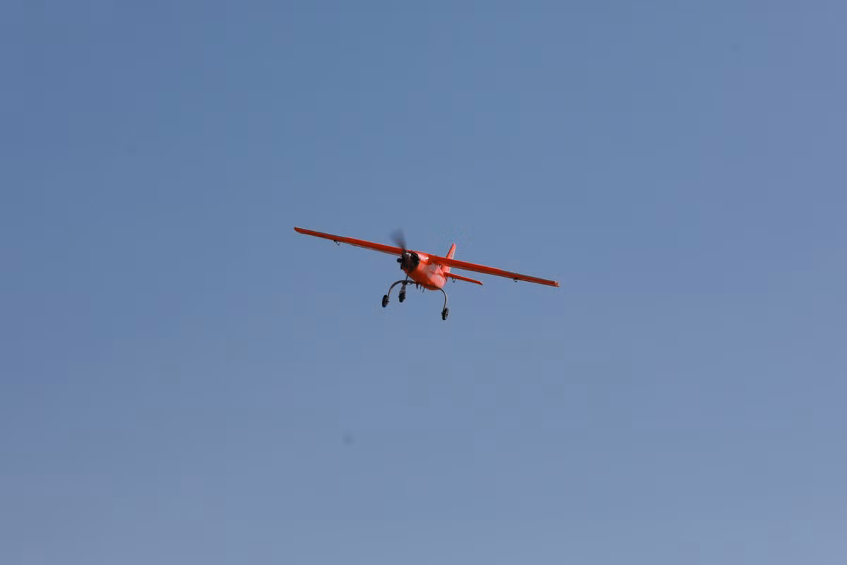 viet8331.jpg