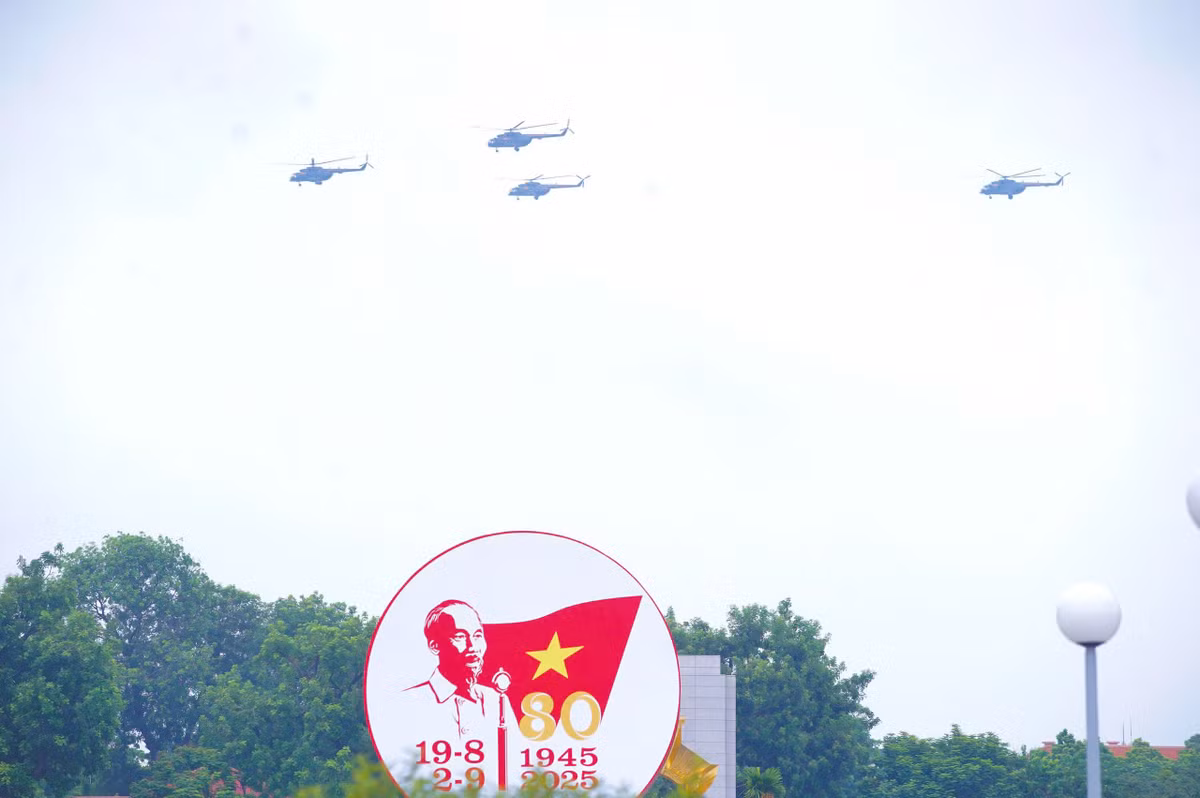 son-3.jpg