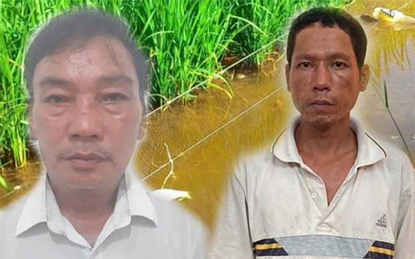 Đau lòng những vụ án bẫy chuột làm chết người 