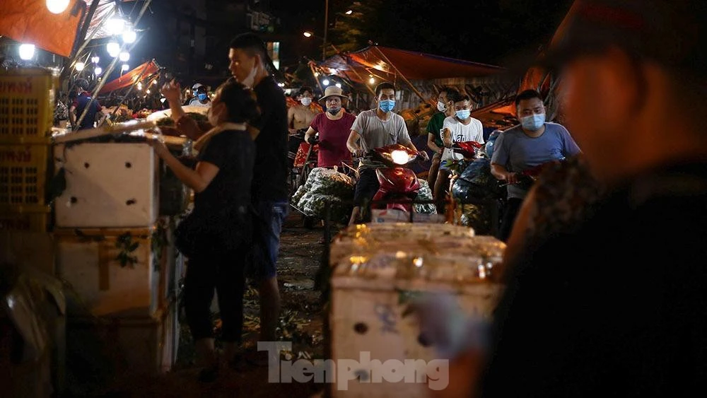 Tấp nập khu chợ đêm mùa quả chín rẻ nhất Hà Nội