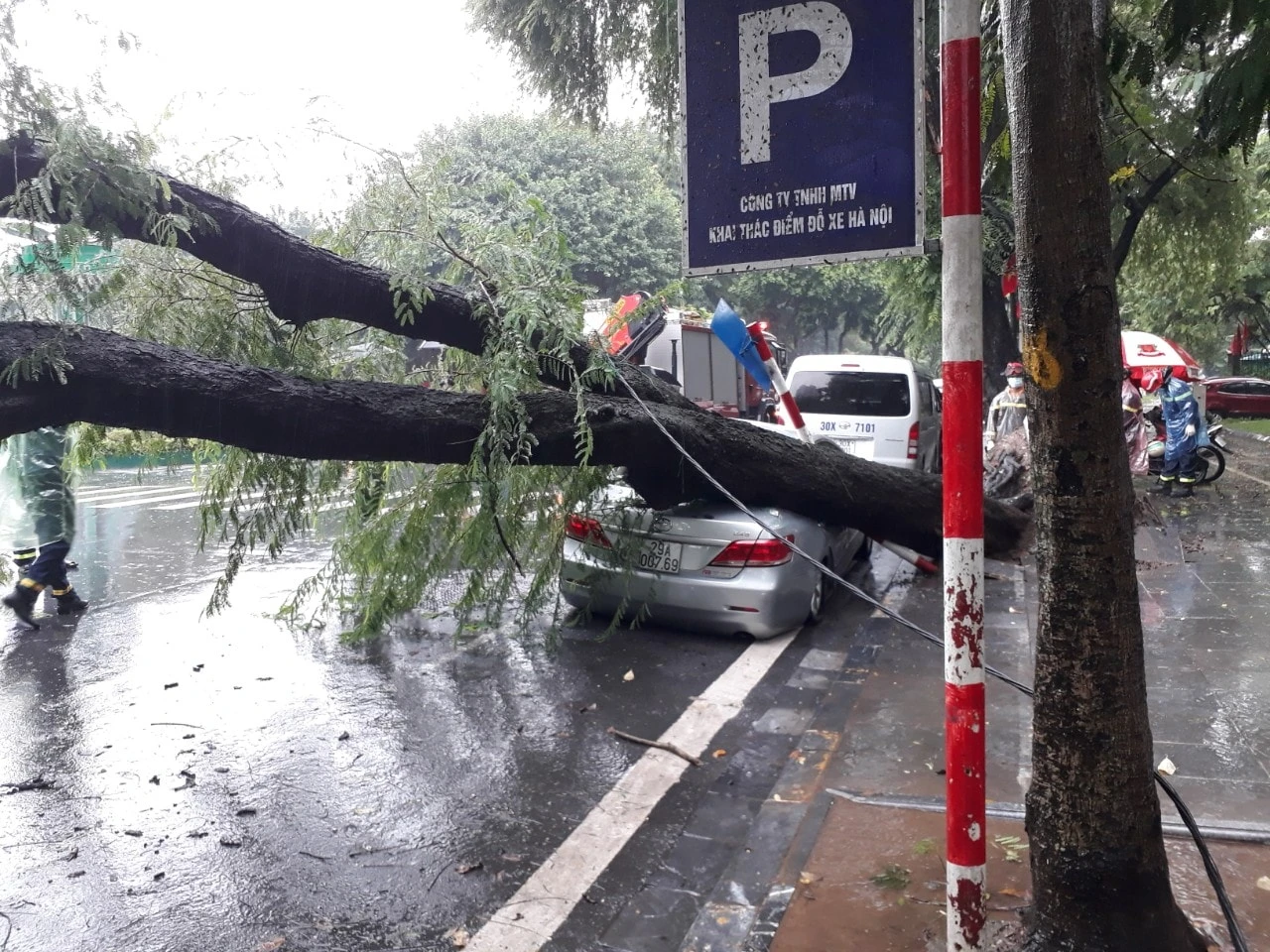 Cây cổ thụ bật gốc đè bẹp đuôi xe Camry trong cơn mưa lớn ở Hà Nội