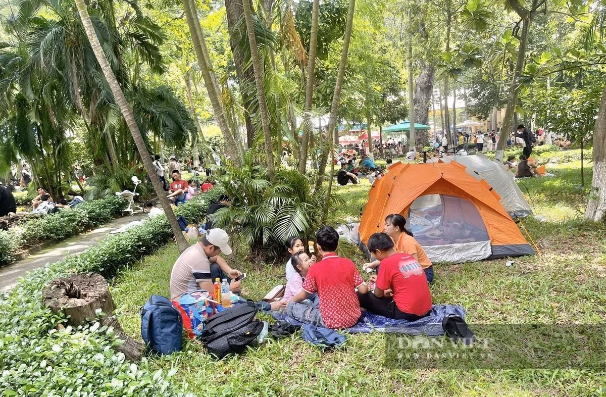 Các gốc cây lớn, thảm cỏ thành nơi nghỉ ngơi, ăn uống của du khách. Những gia đình ở tỉnh thành lân cận đến còn chuẩn bị cả võng, bạt, chiếu... làm nơi ngả lưng.