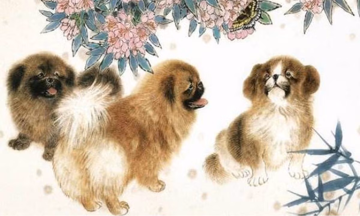 Thổ khí vượng nhắc nhở bản mệnh nên quan tâm hơn tới sức khỏe, đang có dấu hiệu giảm sút. Bạn nên dành thời gian nghỉ ngơi, uống nhiều nước hơn và ăn hoa quả tươi, các loại hạt dinh dưỡng.