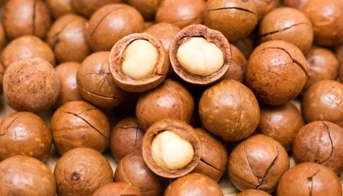 3. Bí quyết nằm ở chất béo tốt và không cholesterol. Một hạt mắc ca chứa tới 22g chất béo, hầu hết là chất béo không bão hòa đơn (MUFA), giúp giảm cholesterol, hỗ trợ tim mạch, không chứa cholesterol xấu.