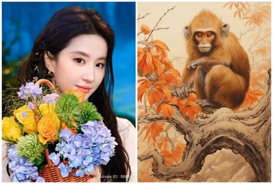 Lời khuyên: Đầu tư vào học hỏi công nghệ, tài chính, kỹ năng giao tiếp. Đa dạng hóa đầu tư, tránh dồn hết vào một kênh. Tránh khoe khoang quá đà, dễ vướng thị phi.