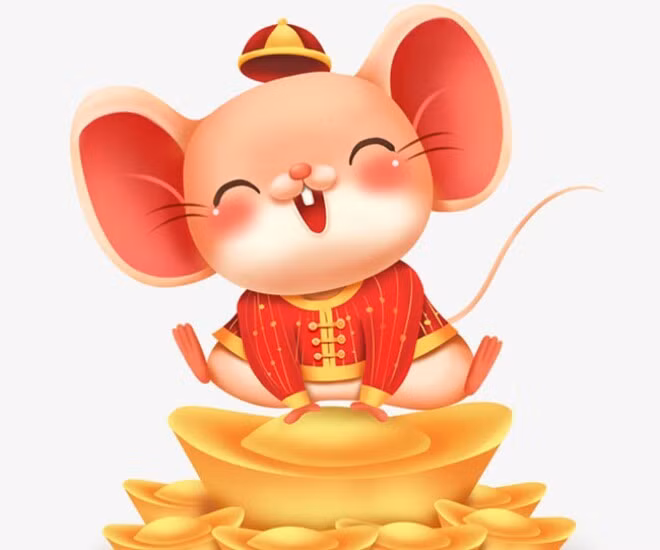 Người tuổi Rắn không mù quáng chạy theo xu hướng mà chỉ đưa ra quyết định sau khi cân nhắc kỹ lưỡng và nghiên cứu thị trường cẩn thận. Họ giỏi sử dụng trí tuệ và nguồn lực của mình để đa dạng hóa danh mục đầu tư, giảm thiểu rủi ro và tăng lợi nhuận.