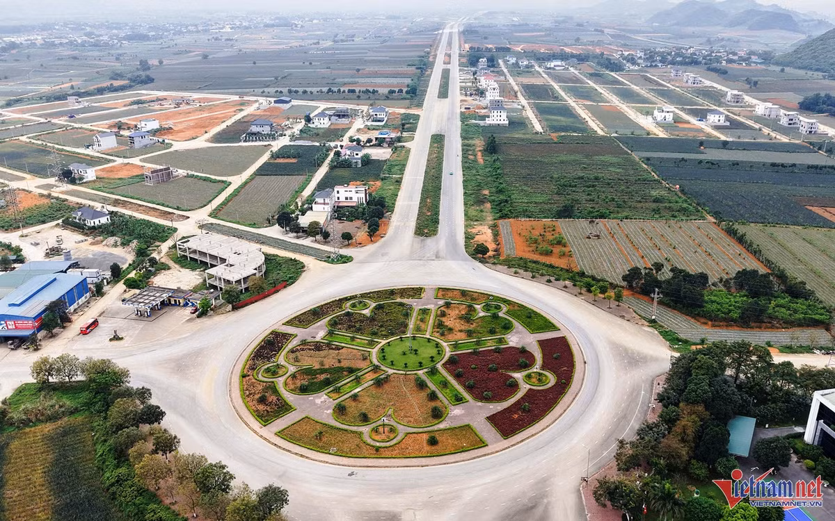 hoa-lu-2.jpg